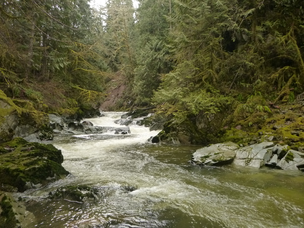 Middle Mashel - Nisqually Land Trust